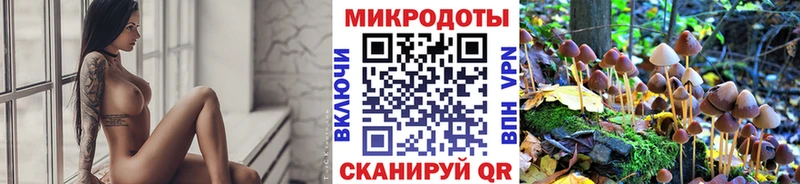 Псилоцибиновые грибы прущие грибы  Учалы 